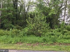 Suitland, Prince Georges County, MD Undeveloped Land, Homesites for sale Property ID: 417235943