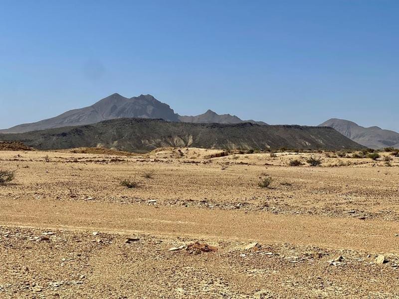 F 709 Wallace, Terlingua, TX 79852 for Sale