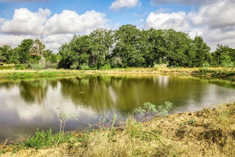 3266 COUNTY ROAD 163, Caldwell, TX 77836 Farm For Sale  MLS# 37465259
