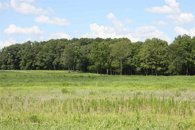 9 TRICE RD, Henderson, TN 38340 Land For Sale  MLS# 202814