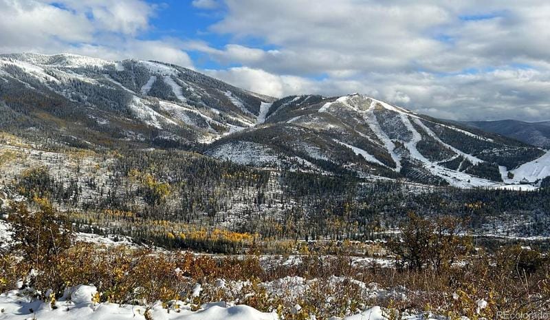 550 Huckleberry, Steamboat Springs, CO 80487 - MLS 9940924 for Sale