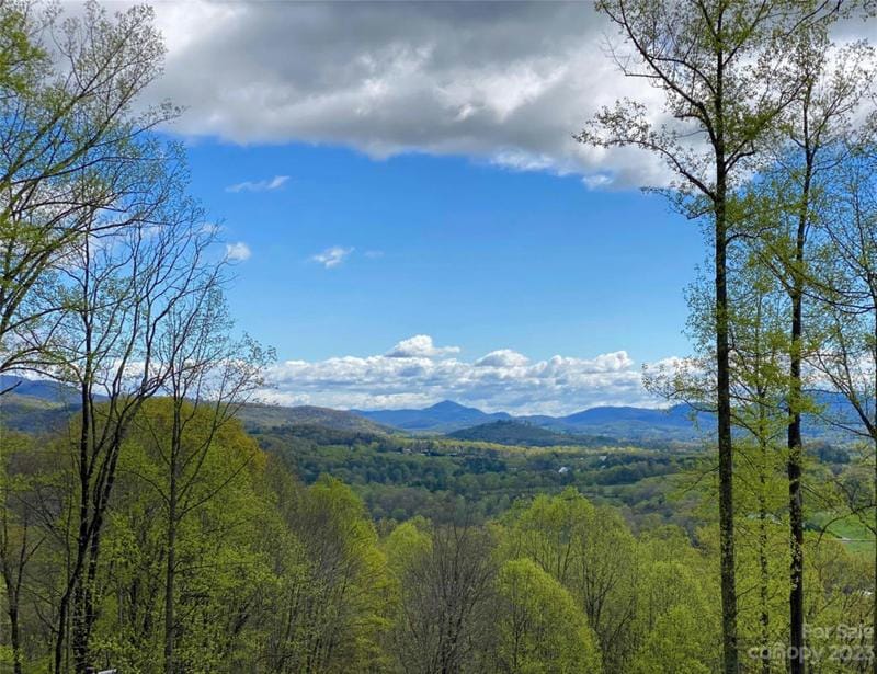 91 ROCK CLIFF WAY # CLIFFSIDE 9, Hendersonville, NC 28791 Land For Sale  MLS# 4064193