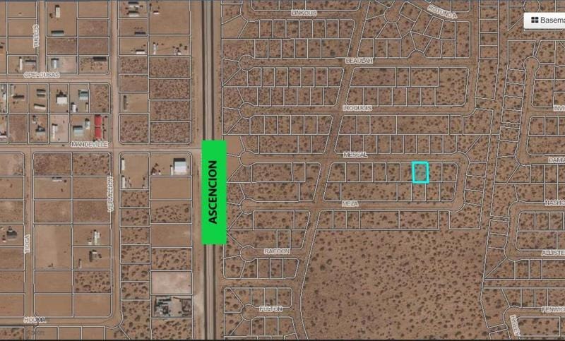 6 Jackrabbit Avenue, Horizon City, TX 79928 for Sale