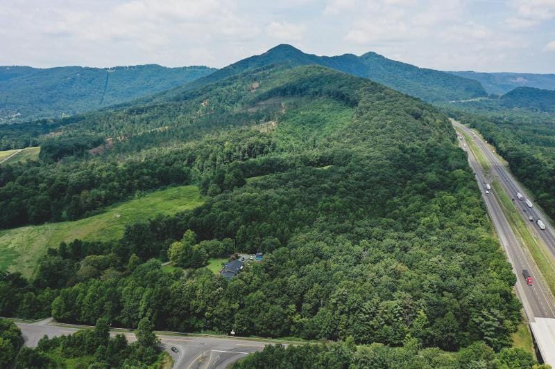 Lambsburg, Carroll County, VA Timberland Property, Undeveloped Land for sale Property ID: 417514871