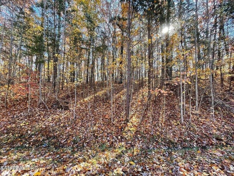 348 Rotherham Drive, Crossville, TN 38558  610029309 for Sale