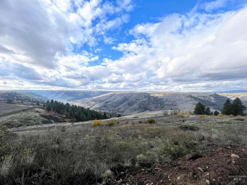 Nna Sperry Grade Road, Kendrick, ID 83537  609189372 for Sale
