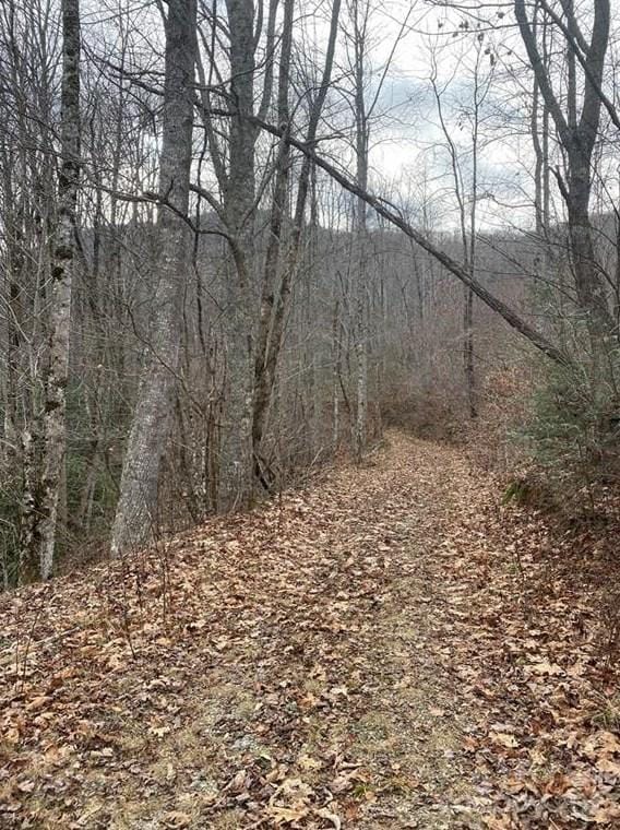 0 White Rock Rd, Cullowhee, NC 28723 - MLS 3937314 for Sale