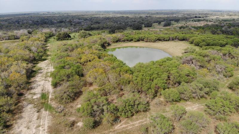 Mccoy, Atascosa County, TX Farms and Ranches, Hunting Property for sale Property ID: 415904726