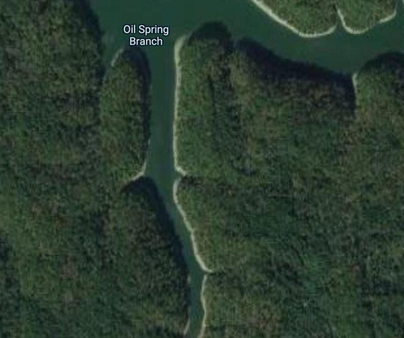 Monticello, Wayne County, KY Undeveloped Land for sale Property ID: 412458711