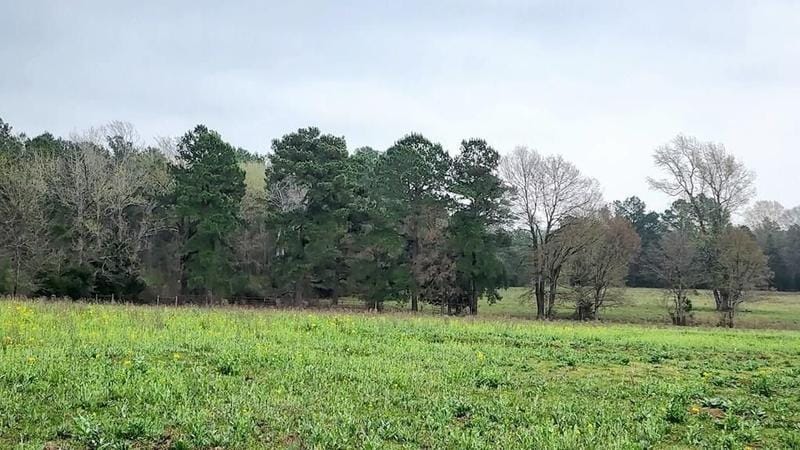 Mount Enterprise, Rusk County, TX Undeveloped Land for sale Property ID: 417014307