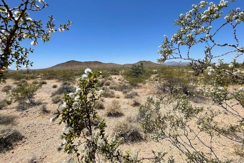 0000 SE Unknown Rd, Yucca, AZ 86438 - MLS 001824 for Sale