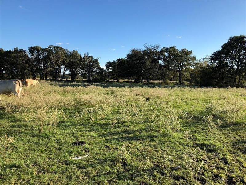 0040 County Road 415, Navasota, TX 77868 for Sale