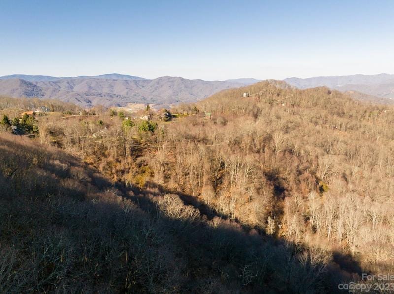 Lot R100 Avalon Gap Trail #Lot 100, Waynesville, NC 28785 - MLS 4093024 for Sale