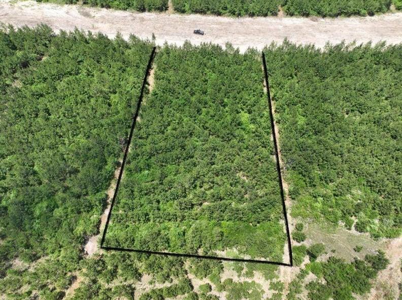 15726 Wood Grv Wy, Willis, TX 77318 - MLS 89769876 for Sale
