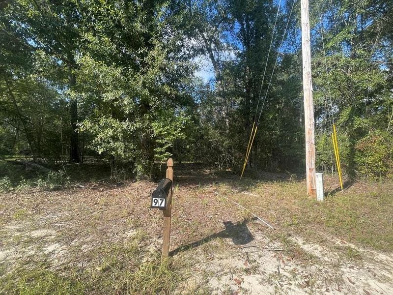 Perkinston, Pearl River County, MS Undeveloped Land for sale Property ID: 417536568