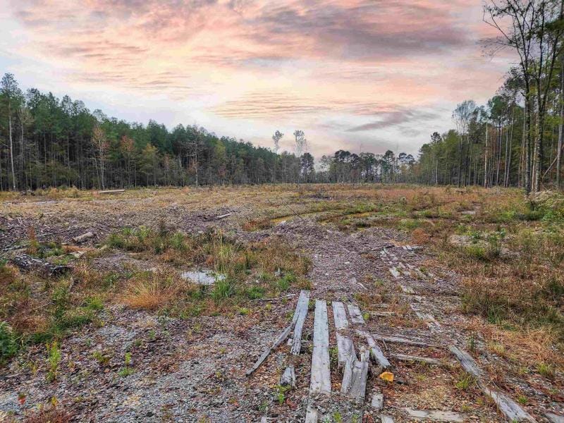 Calion, Union County, AR Undeveloped Land, Homesites for sale Property ID: 418265789