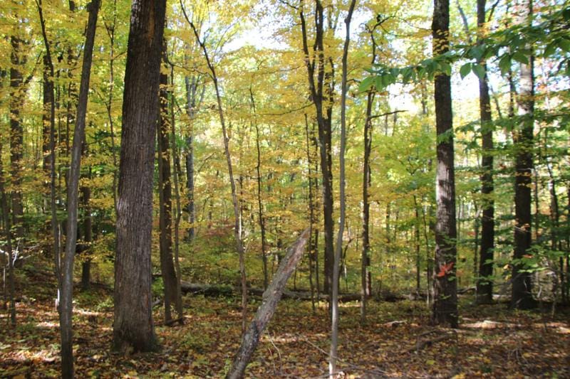 Bentonville, Warren County, VA for sale Property ID: 418118884