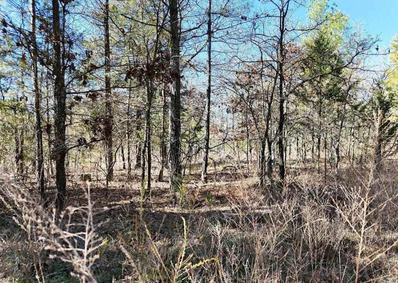 Antlers, Pushmataha County, OK Recreational Property, Undeveloped Land, Hunting Property for sale Property ID: 418561125