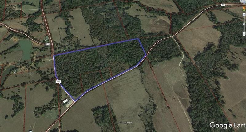 Tba FM 319, ELKHART, TX 75801 for Sale