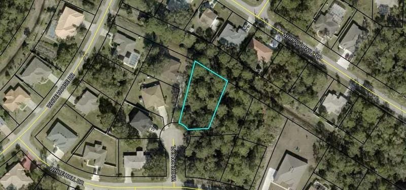 Palm Coast, Flagler County, FL Undeveloped Land, Homesites for sale Property ID: 418531340