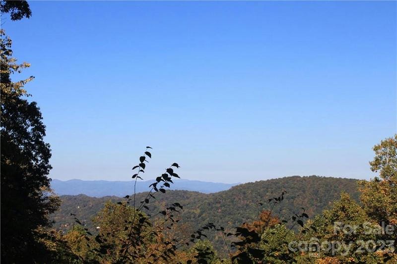 99999 ABINGDON WAY, Asheville, NC 28804 Land For Sale  MLS# 4074839
