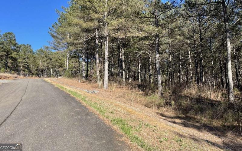 41 Reece Mountain Road, Ellijay, GA 30540  615107985 for Sale