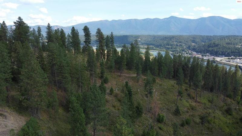 NKA PONDEROSA WAY, Bonners Ferry, ID 83805 Unimproved Land For Sale  MLS# 20232671