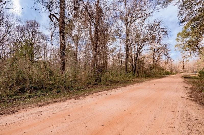 Lot 490-491 Lakeview Dr, CLEVELAND, TX 77327 for Sale