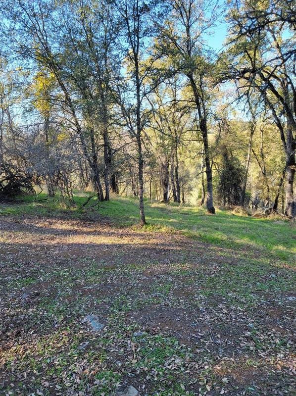 0 Boarman, Jackson, CA 95642 - MLS 223109662 for Sale