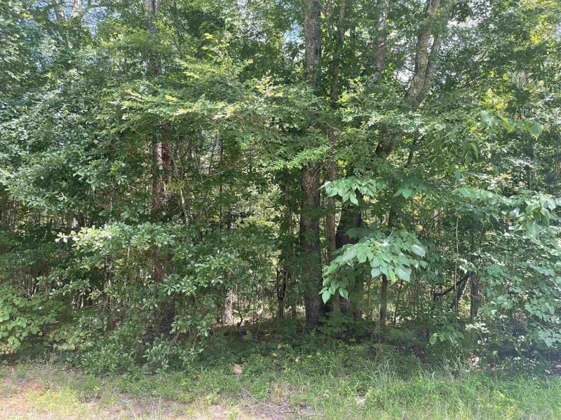 Union Point, Greene County, GA Undeveloped Land for sale Property ID: 417098943
