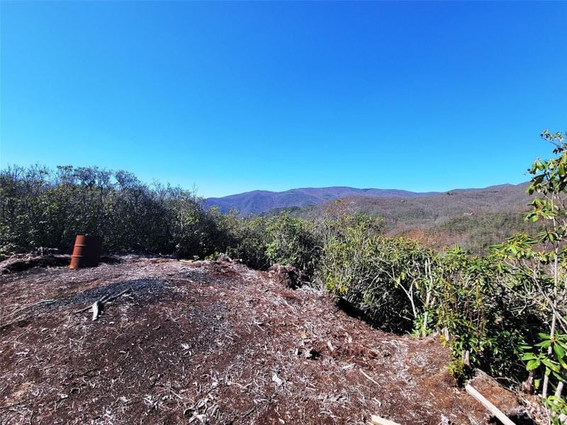 Maggie Valley, Jackson County, NC Undeveloped Land for sale Property ID: 416884066
