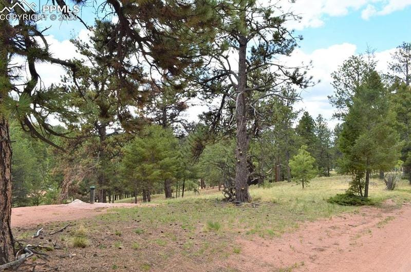 698 Pinewood Rd, Florissant, CO 80816 - MLS 3557407 for Sale