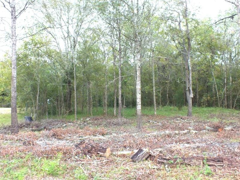 0 Patricia Lane County Road 377, Alvin, TX 77511 for Sale
