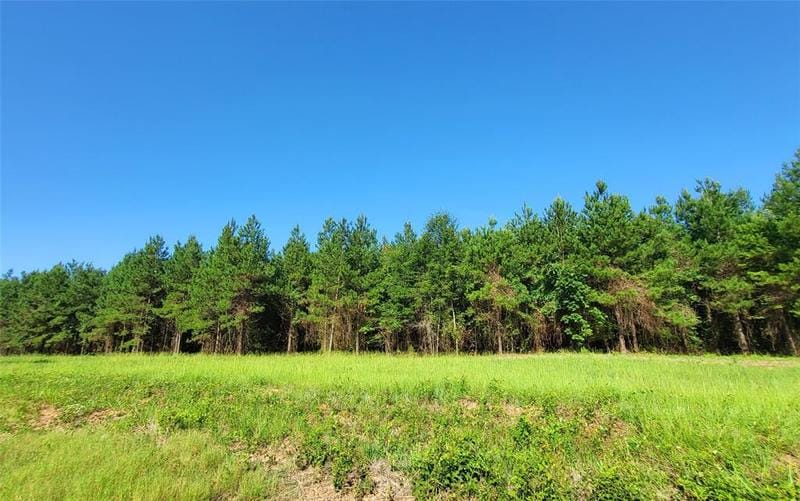 000 Jessie Latin Rd, Gloster, LA 71030 for Sale