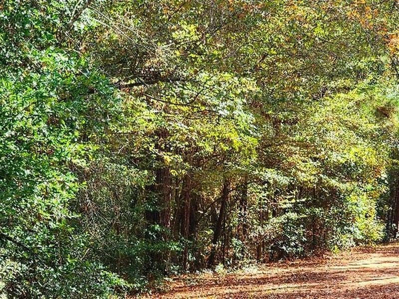 0 CR 2653/2654, CLEVELAND, TX 77327 for Sale