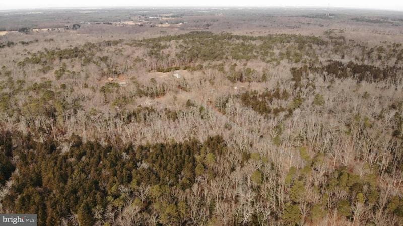 0 HARMERSVILLE PECKS CORNER ROAD, SALEM, NJ 08079 Land For Sale  MLS# NJSA2009764