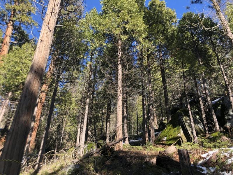 N/N REDWOOD, Hartland, CA 93603 Single Family Residence For Sale  MLS# 221916