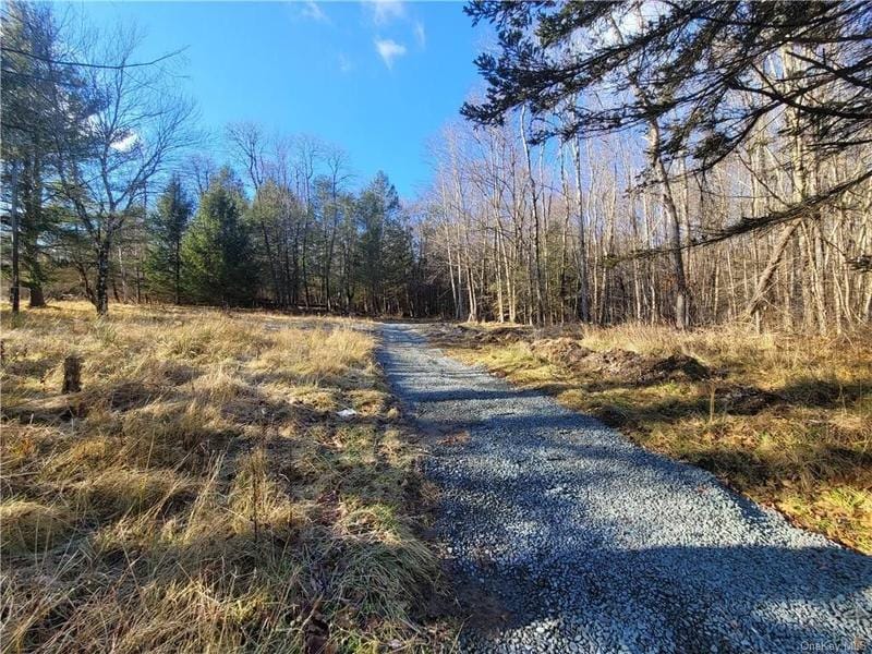 Fallsburg, Sullivan County, NY Undeveloped Land, Homesites for sale Property ID: 418504324