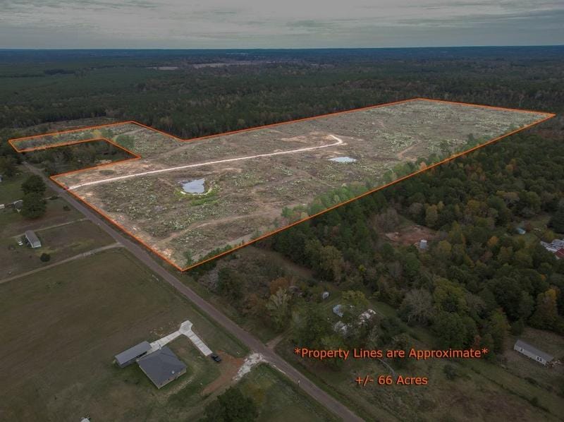 619 Cr 310- 60-Acre Tract, De Berry, TX 75639 - MLS 20477139 for Sale