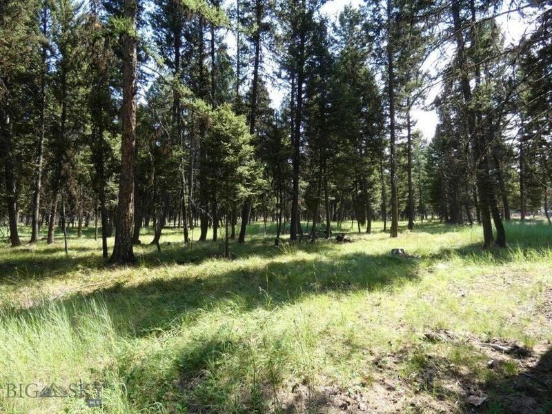 3214 MT HIGHWAY 83 N, Seeley Lake, MT 59868 Land For Sale  MLS# 348995 for Rent