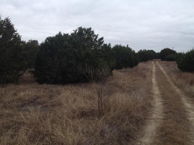 TBD County Road 142, No City, TX 76528 for Sale