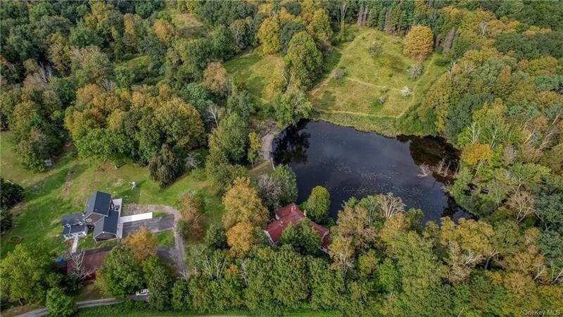 Chester, Orange County, NY House for sale Property ID: 417795419