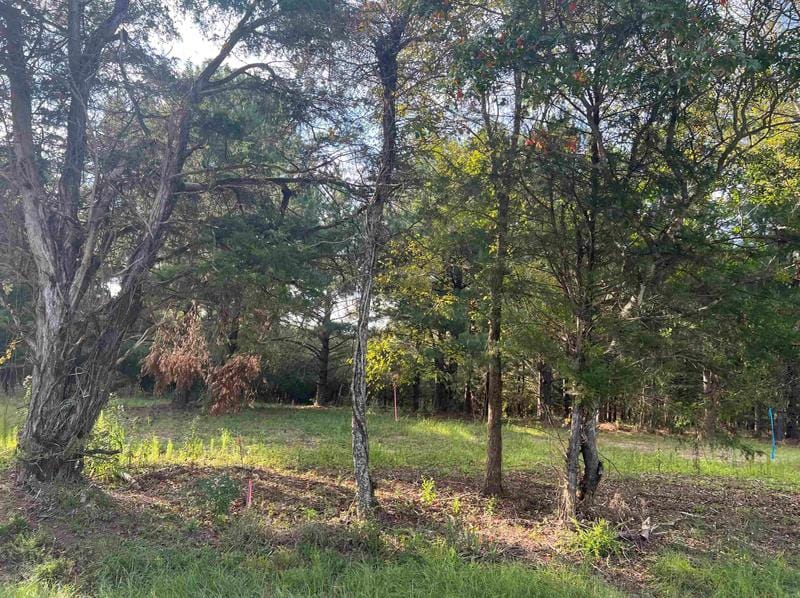 Lot 3 Kent Rock Rd, Loganville, GA 30052 - MLS 20149217 for Sale