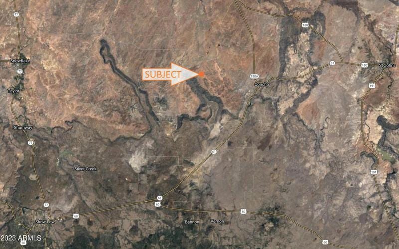 20 COUNTY ROAD N8445, Concho, AZ 85924 Land For Sale  MLS# 6578873 for Rent