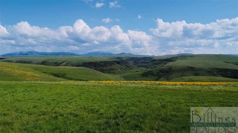 TBD CORA CREEK RD, Other-See Remarks, MT 59412 Agriculture For Sale  MLS# 340459