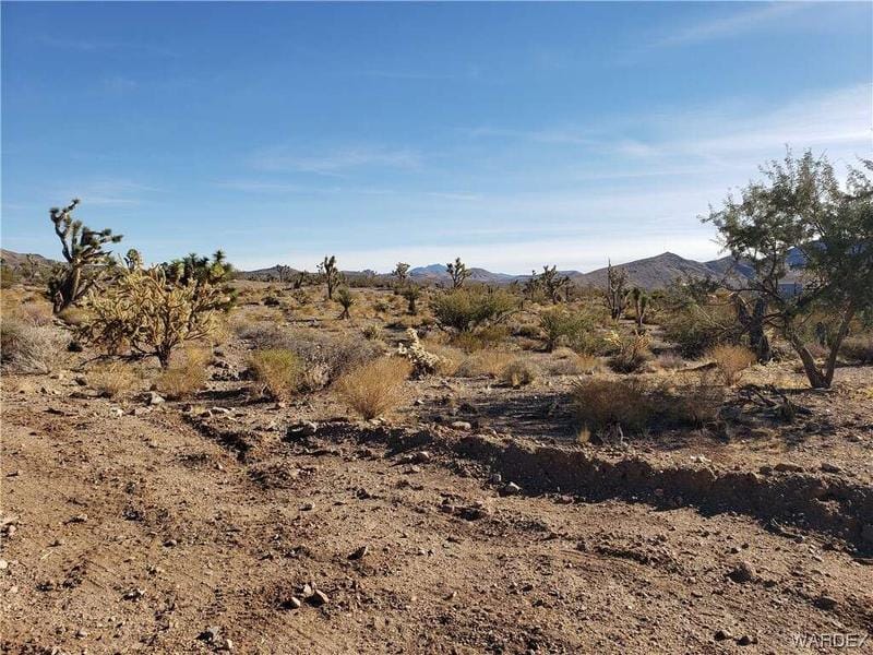 8610 W Mustang Drive, White Hills, AZ 86445  611274461 for Sale