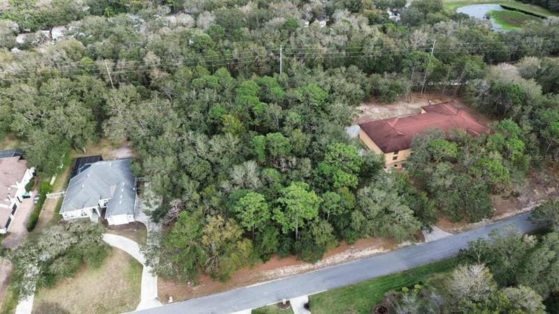 Apopka, Orange County, FL Undeveloped Land, Homesites for sale Property ID: 415799376
