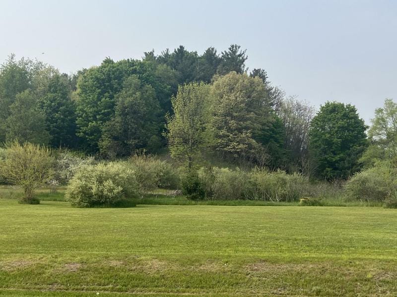 Shelby, Oceana County, MI Undeveloped Land, Homesites for sale Property ID: 416832313