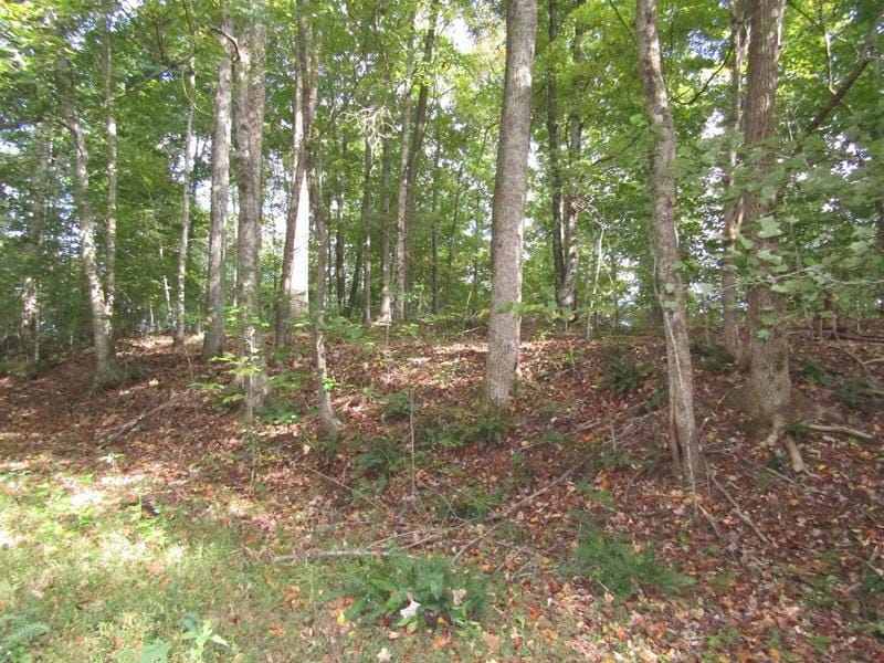 10AC OLD ANTIOCH RD, GAINESBORO, TN 38562 Land For Sale  MLS# 223571