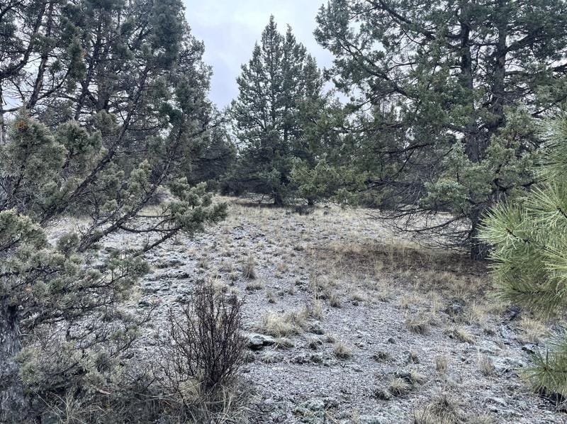 Lot 24 Pelican Dr #Lot 24, Bonanza, OR 97623 - MLS 220175356 for Sale